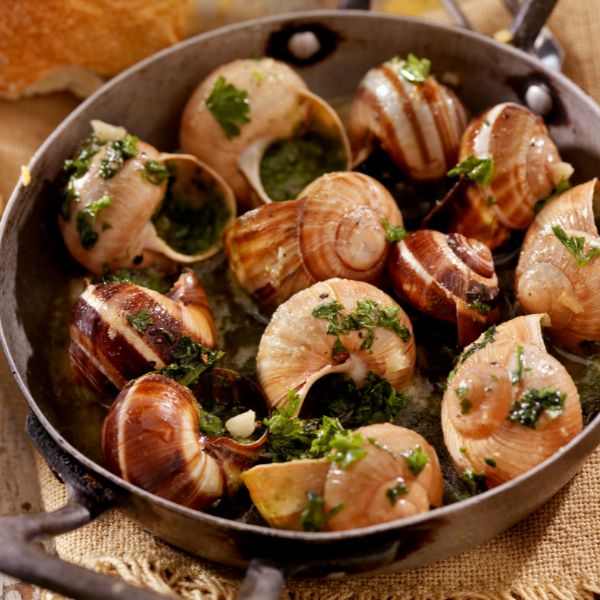 Escargot